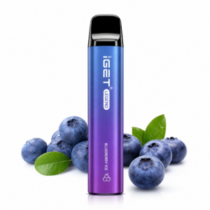 IGET Bar Plus 10000 Puffs Disposable Vape – Blueberry Ice