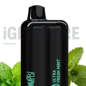 Punkapes Ultra 6000 – Fresh Mint